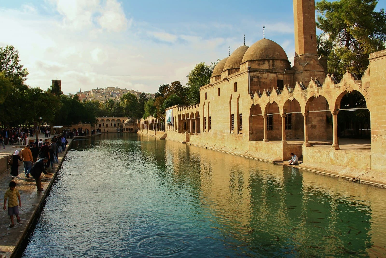 Şanlıurfa Balıklıgöl ve Rızvaniye Camii